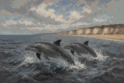 Dolphins in the Black Sea