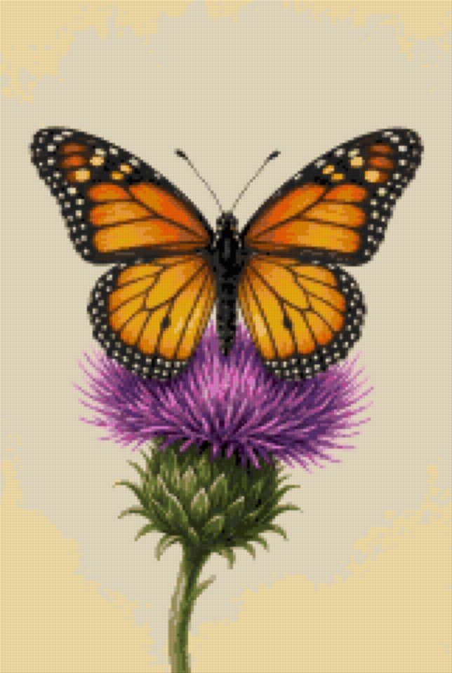 Fluture monarh