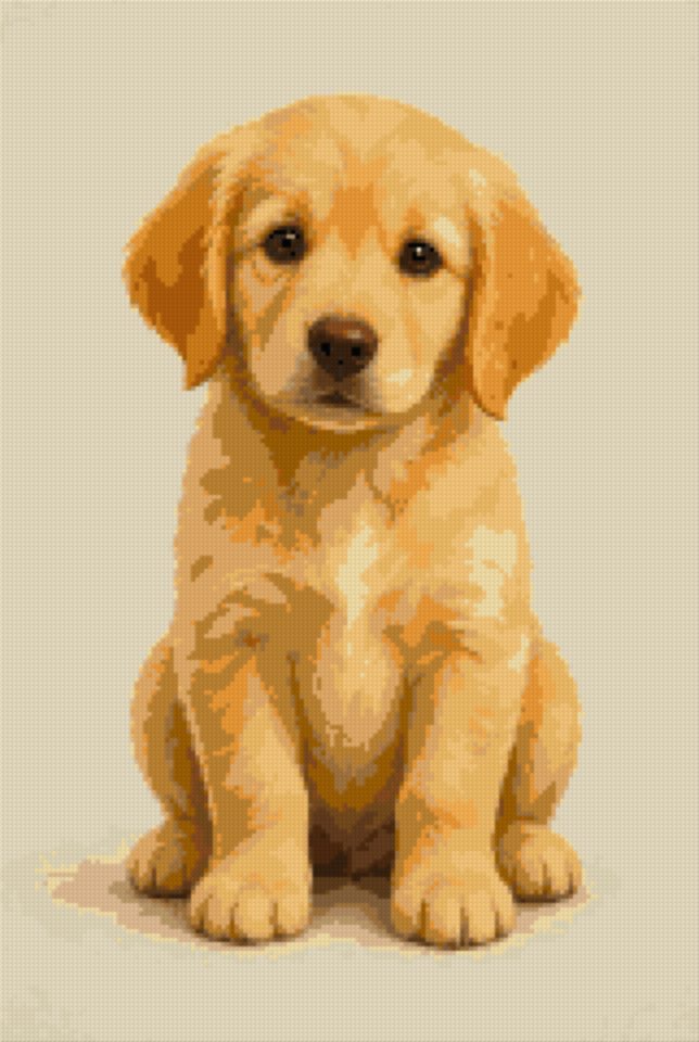 A Golden Puppy