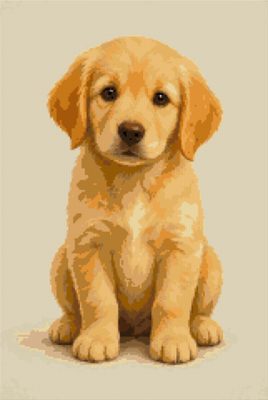 A Golden Puppy