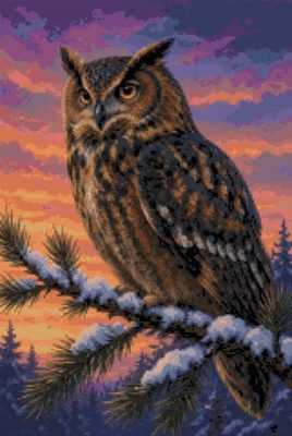 An Owl at Sunset