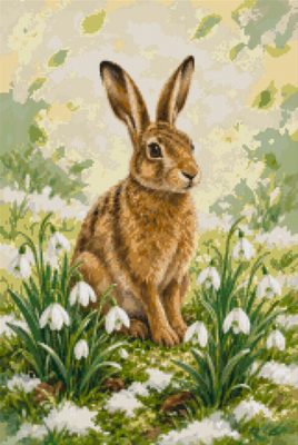 A Hare among Snowdrops