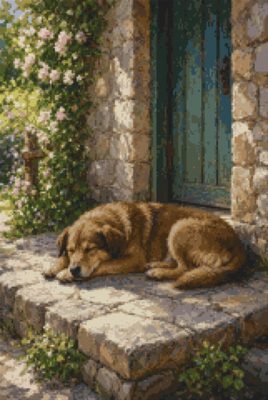 A Dog on the Doorstep