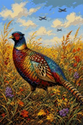A Pheasant