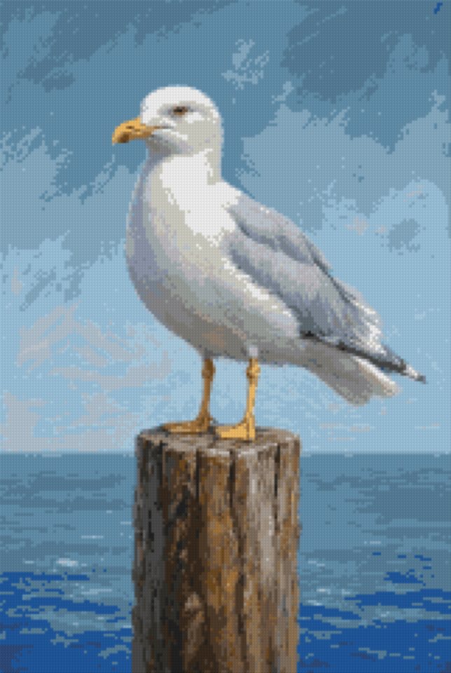 A Gull