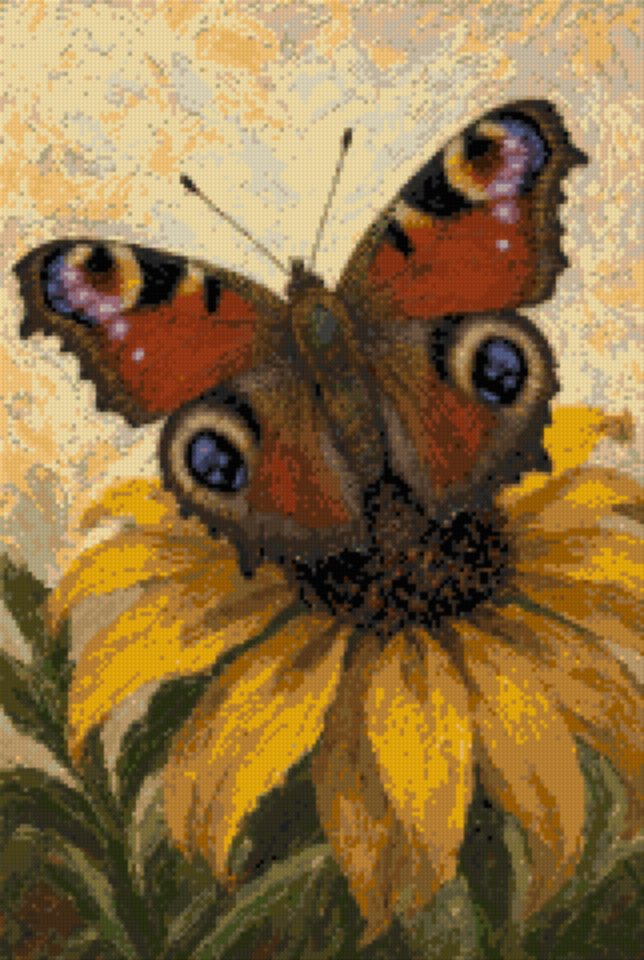 A Butterfly on a Sunflower