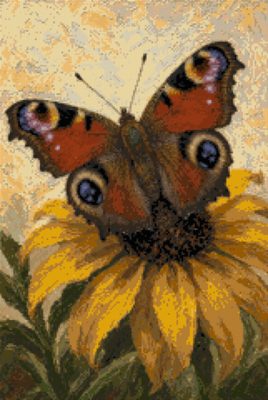 A Butterfly on a Sunflower