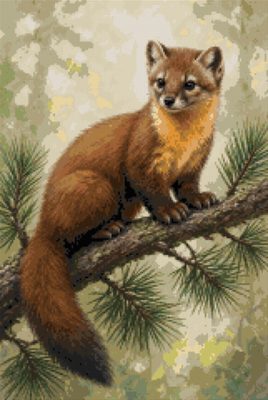 A Marten on a Branch