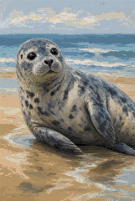 A Seal on the Shore
