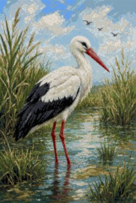 A Stork in the Marsh