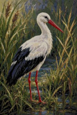 A Stork among the Reeds