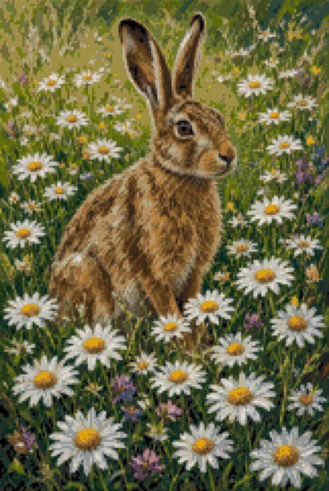 A Hare among Daisies