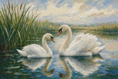 Swans on the Pond