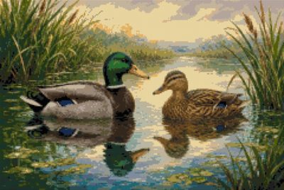 Ducks on the Pond in the Morning