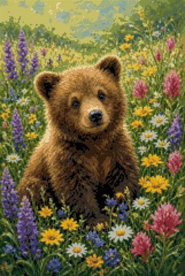 A Bear Cub