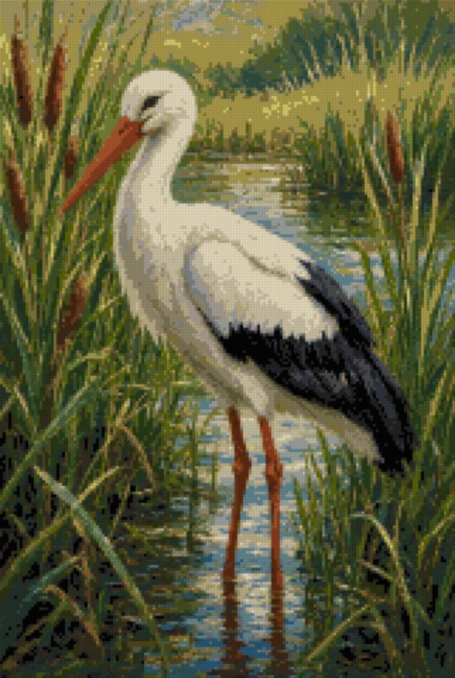 A Stork in the Reed Bed