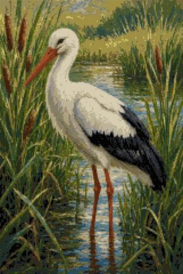 A Stork in the Reed Bed