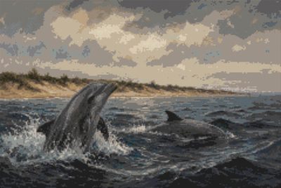 Dolphins Offshore
