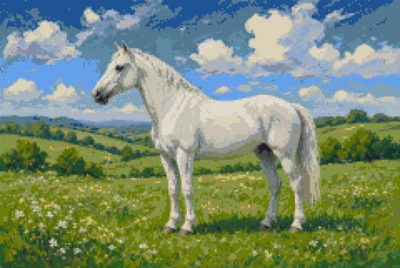 A White Horse on the Pasture