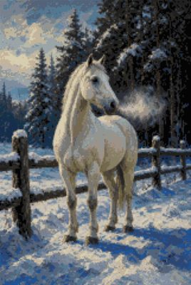 A White Horse in the Snow