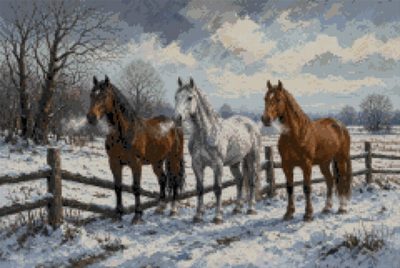 Three Horses at the Fence in Winter