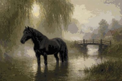 A Black Horse at the Ford