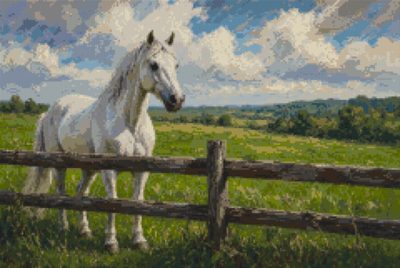 A White Horse Behind the Fence