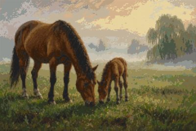Mare and Foal Grazing