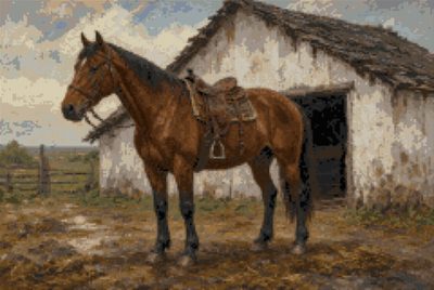 A Saddled Horse