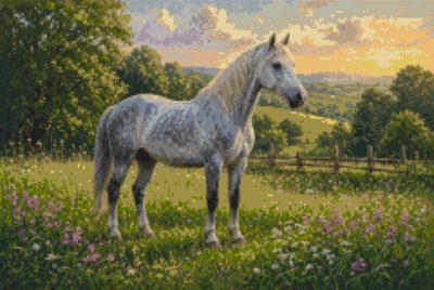A Dapple Grey in the Meadow