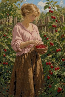 Picking Raspberries