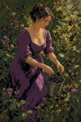 Picking Blackberries