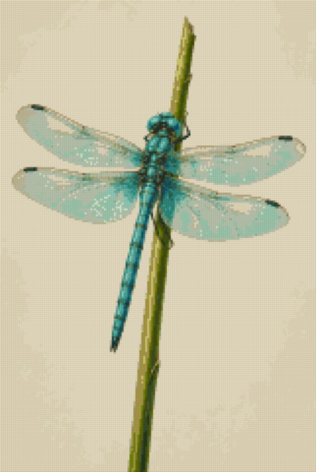 A Dragonfly on a Reed
