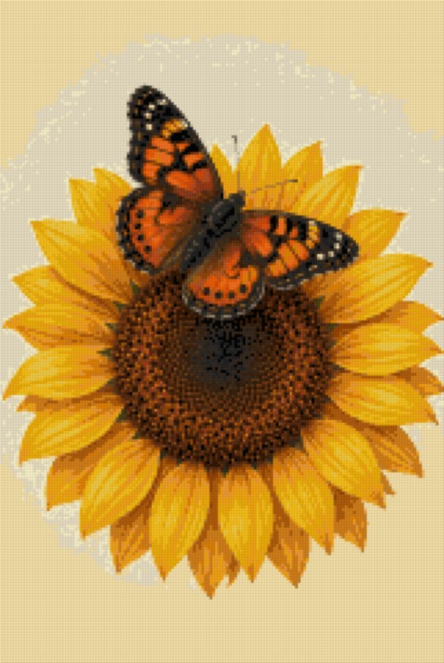 A Butterfly on a Sunflower