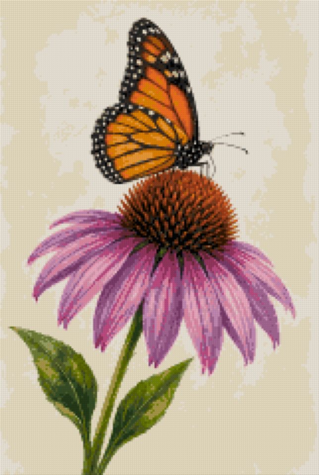 A Monarch on Echinacea