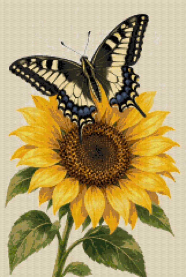 A Butterfly on a Sunflower Petal
