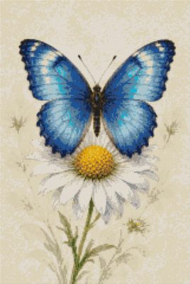 A Blue Butterfly on a Daisy
