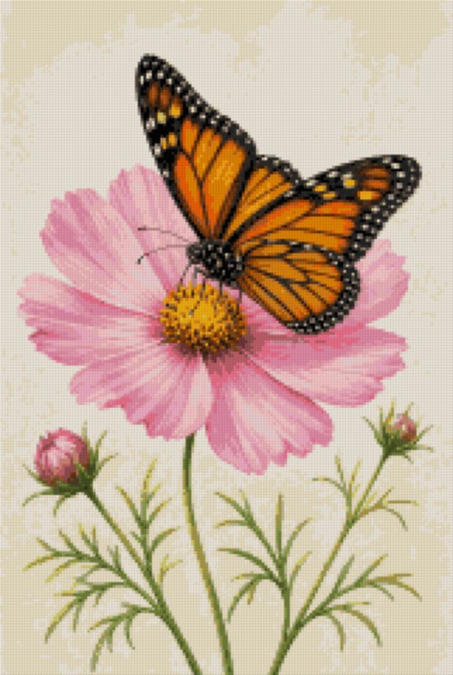 A Butterfly on a Cosmos Flower