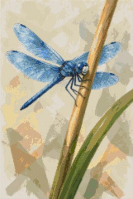 A Blue Dragonfly