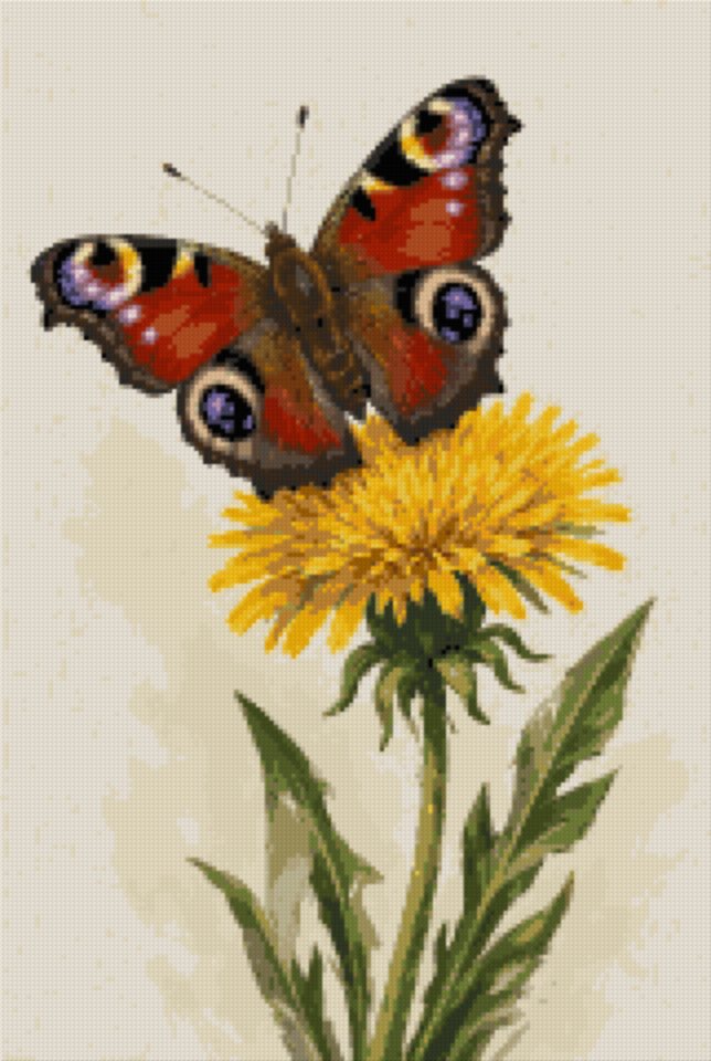 A Butterfly on a Dandelion