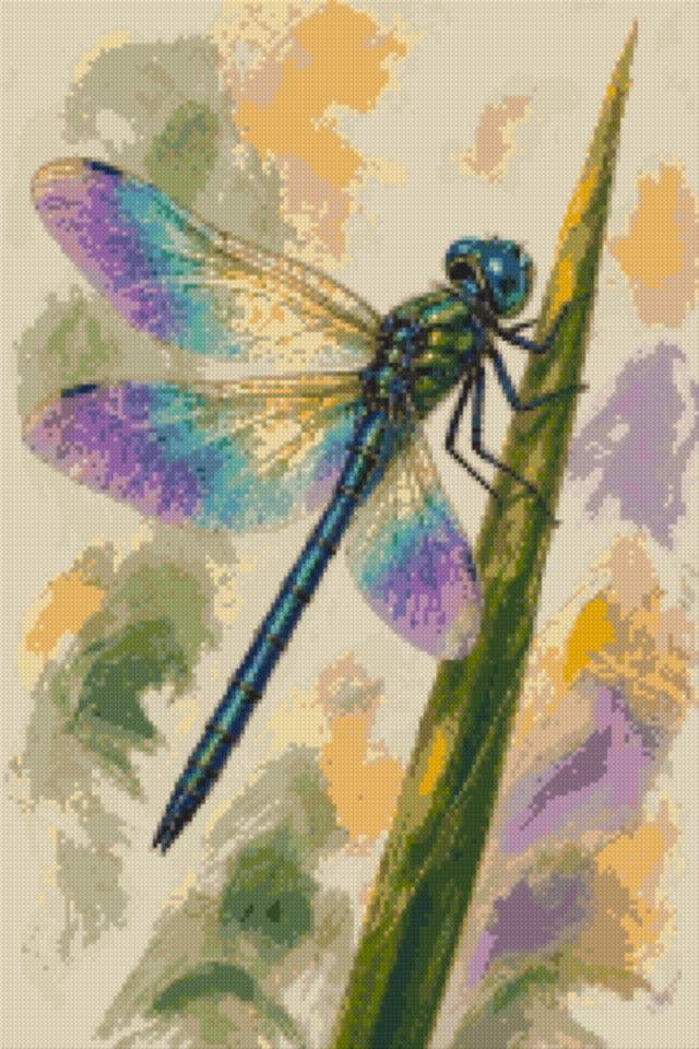 A Dragonfly