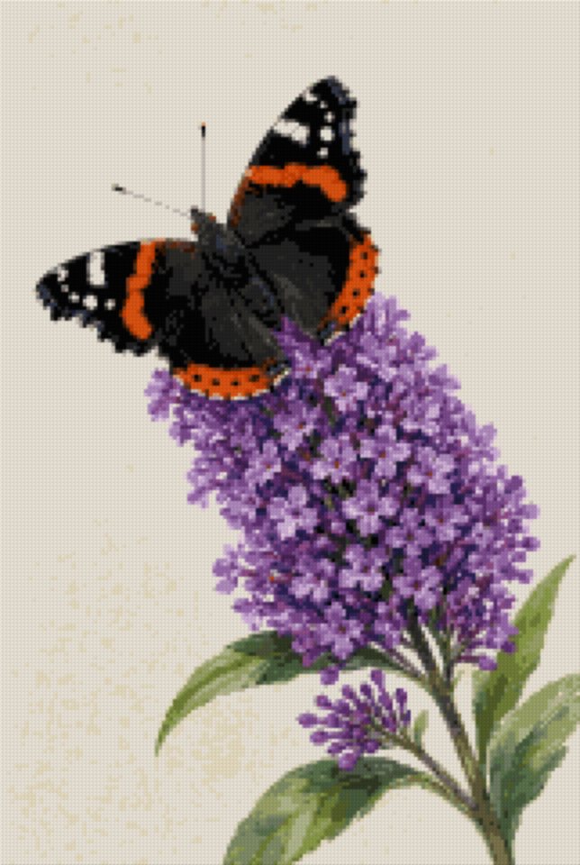 A Butterfly on a Buddleia