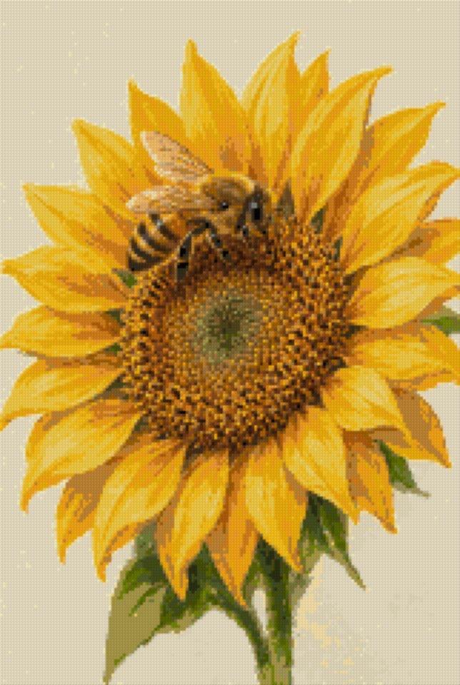 A Bee on a Sunflower