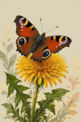 A Butterfly on a Dandelion in Flower