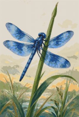 A Blue Dragonfly on a Pale Ground