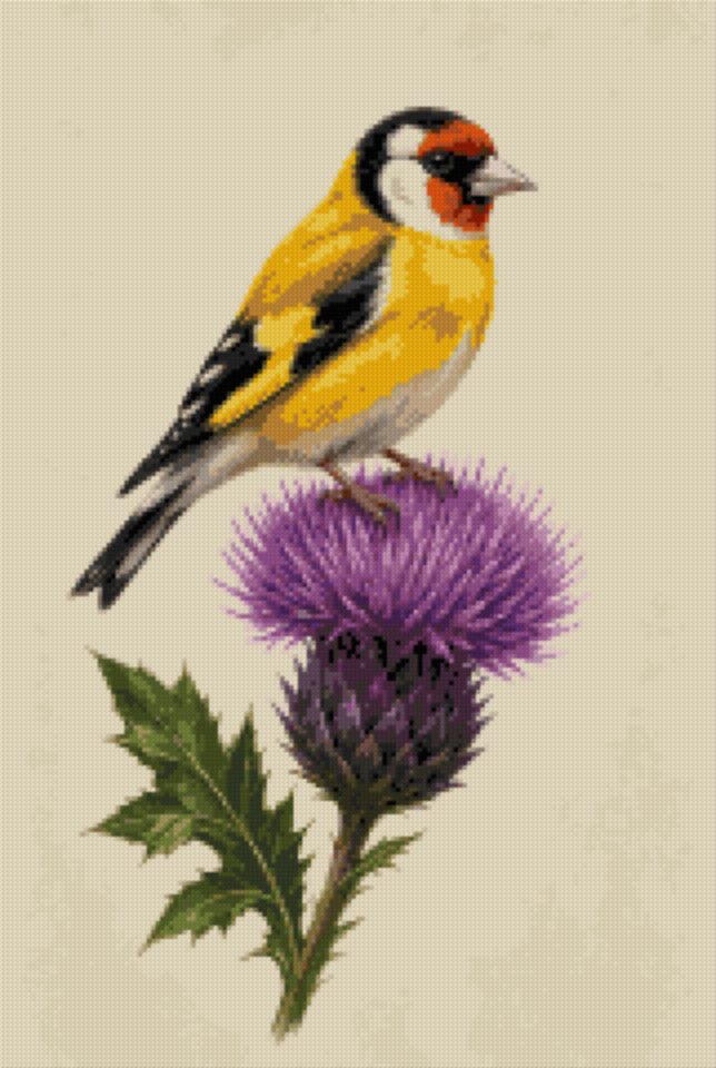 A Goldfinch on a Thistle