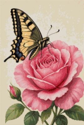 A Butterfly on a Rose