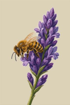 A Bee on Lavender