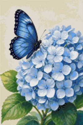 A Butterfly on a Hydrangea