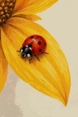 A Ladybird on a Sunflower
